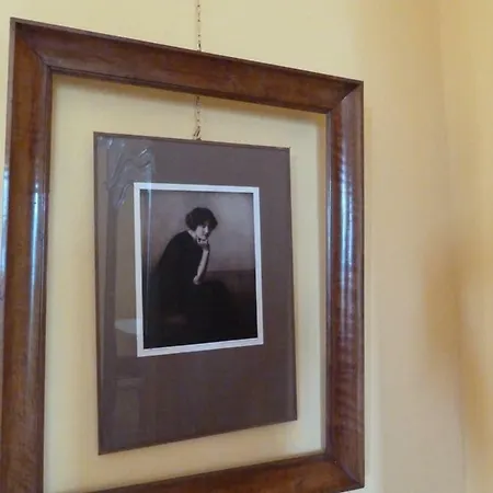 Forster's Nest Cannero Riviera