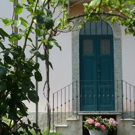 Apartment Forster's Nest