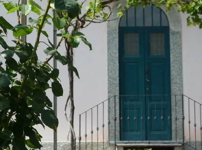 아파트 Forster's Nest