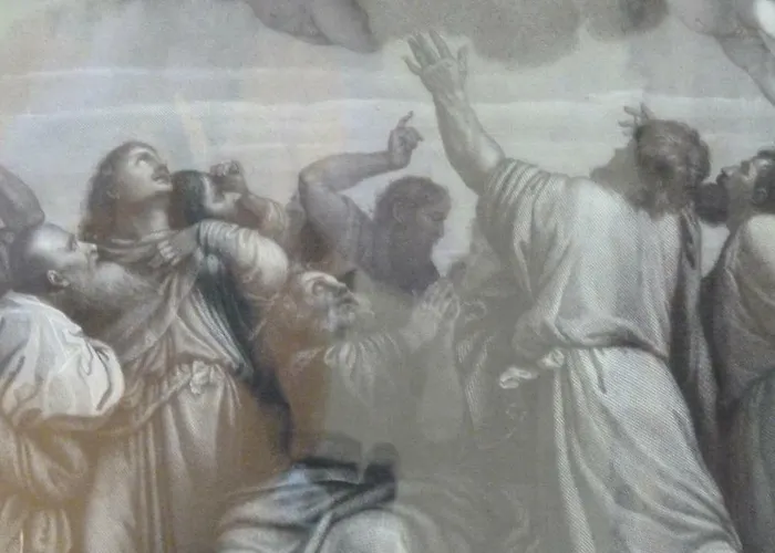 Forster's Nest Cannero Riviera